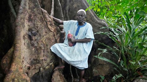 In Benin, Voodoo’s birthplace, believers bemoan steady shrinkage of forests they revere as sacred